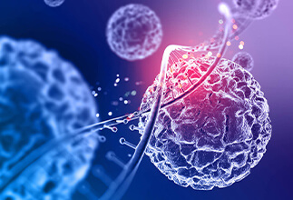 Fonksiyonel Tıp Nedir