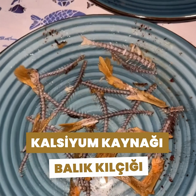 Az bilinen kalsiyum kaynağı balık kılçığı
